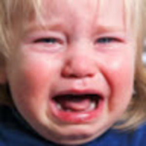 Meet your Posher, Rosalia